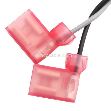TE 2-520129-2 To Molex 0430250408 Micro Fit 3.0 Recetacle Dual Row Wire Cable