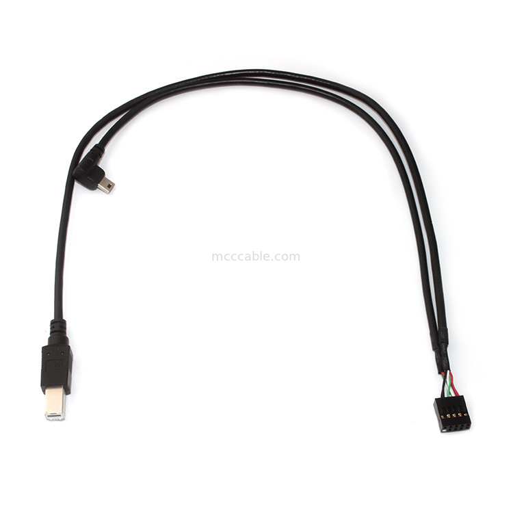 10 پین 30AWG مونتاژ کابل پیچ Molex 2.54 میلی متر 150 میلی متر طول Molex 22-55-2101